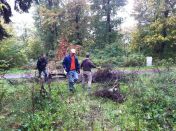 vorbereitung_lagerfeuer_03