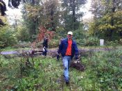 vorbereitung_lagerfeuer_04